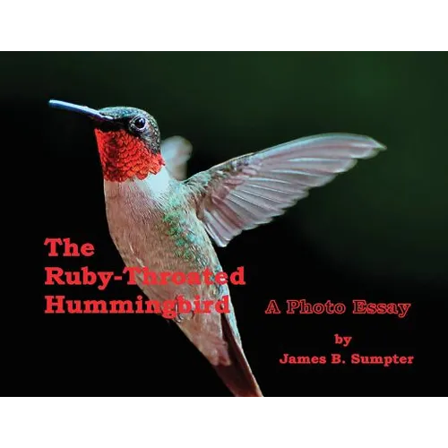 The Ruby-throated Hummingbird: A Photo Essay - Paperback