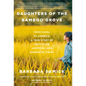 Daughters of the Bamboo Grove: From China to America, a True Story of Abduction, Adoption, and Separated Twins - Hardcover