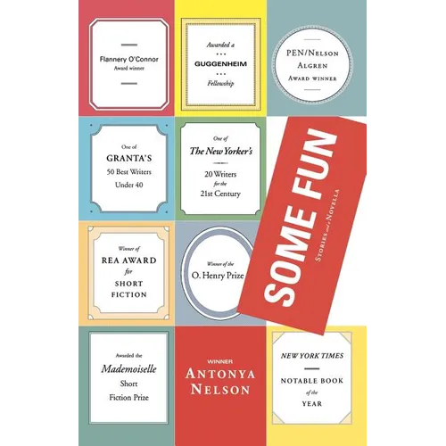 Some Fun: Stories and a Novella - Paperback