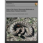 Status of the Eastern Massasauga Rattlesnake at Indiana Dunes National Lakeshore - Paperback