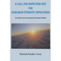 A Call for Inspection Unit for Research Students' Supervision - Paperback