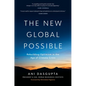 The New Global Possible: Rebuilding Optimism in the Age of Climate Crisis - Hardcover