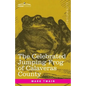 The Celebrated Jumping Frog of Calaveras County: And Other Sketches - Paperback
