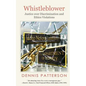 Whistleblower: Justice over Discrimination and Ethics Violations - Paperback