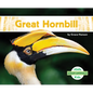 Great Hornbill - Library Binding