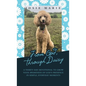 From God, Through Daisy: A Thirty-Day Devotional to Grow Your Awareness of God's Presence in Simple, Everyday Moments - Hardcover