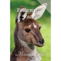 Fellowship Farm 5: Books 13-15 - Paperback