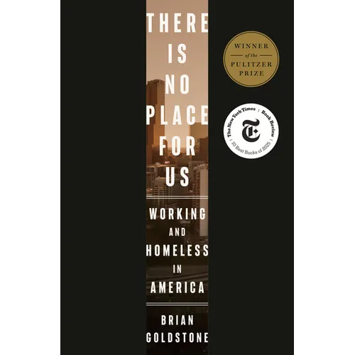 There Is No Place for Us: Working and Homeless in America - Hardcover
