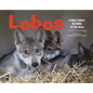 Lobos: A Wolf Family Returns to the Wild - Hardcover
