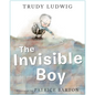 The Invisible Boy - Hardcover