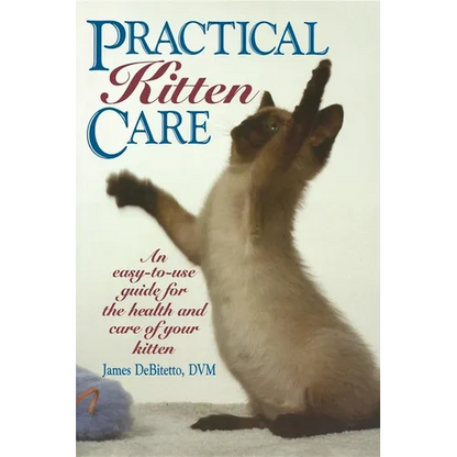 Practical Kitten Care - Paperback