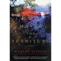 Eva Moves the Furniture - Paperback