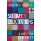 Sodomy's Solicitations: A Right to Queerness - Paperback