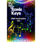 The Sonic Keys: DNA Activation 101 - Paperback
