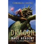 Dragon Mage Academy: Pariah of Dragons - Paperback
