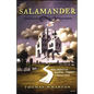Salamander - Paperback