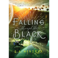 Falling Through the Black - Hardcover