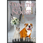 Tying the Noose: Felicity Philips Investigates Book 2 - Paperback