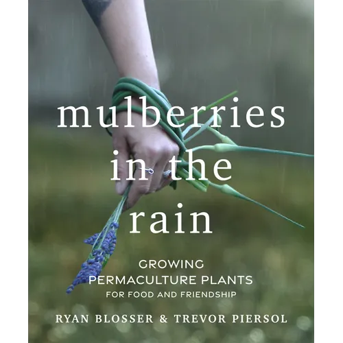 Mulberries in the Rain: Growing Permaculture Plants for Food and Friendship - Paperback