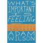 What's Important Is Feeling - Paperback