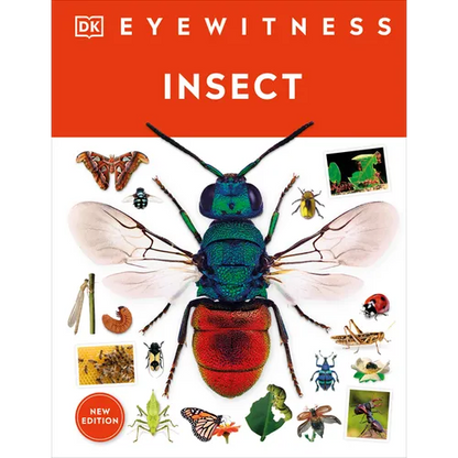 Eyewitness Insect - Hardcover