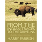From the Indian Traces to the Drive-Ins: An Edgar County Anthology - Paperback