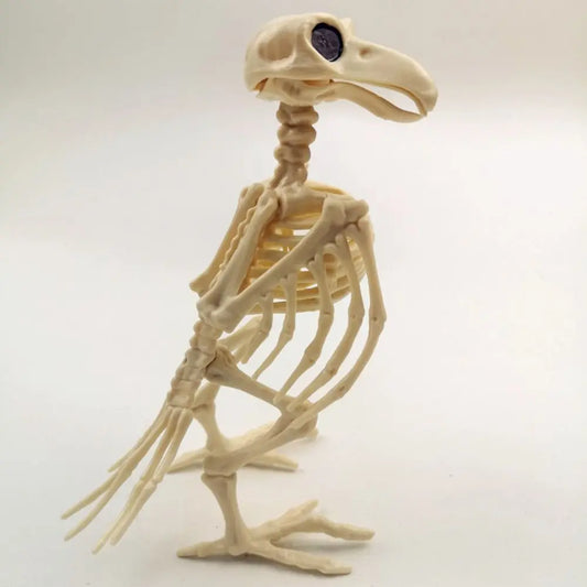 Halloween Decoration Plastic Halloween Prop Skeleton Raven Crow Skeleton Animal Skeleton Bones Decoration