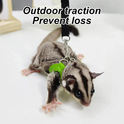 4-Pack Escape-Proof Adjustable Small Animal Harness & Leash Set — Hamsters, Sugar Gliders, Squirrels