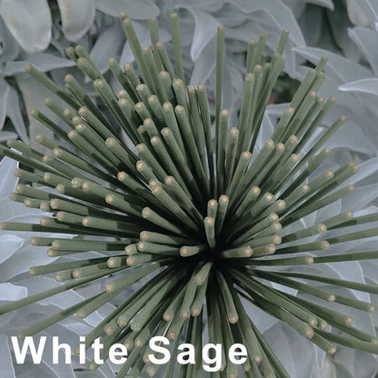 White Sage Lavender & Mint Aromatherapy Incense Coils for Patio, Porch, Poolside & Camping