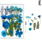 For Fun DIY Embossed Dried Flower Resin Fillings Real Flower for Home Decoration Nail Art Handicrafts Jewelry Making Crafts
