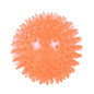 TPR Squeaky Thorn Chew Ball for Dogs & Cats — Teeth Cleaning Puppy Training Toy