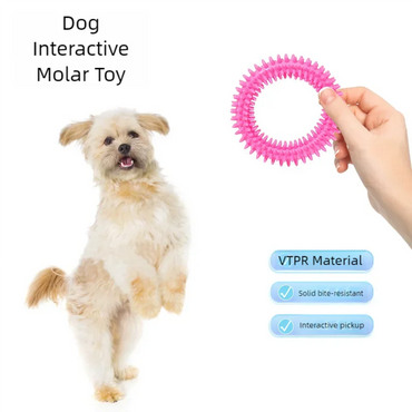 Durable Rubber Bone Chew Toy for Small Dogs - Bite-Resistant Teeth-Cleaning Training Toy