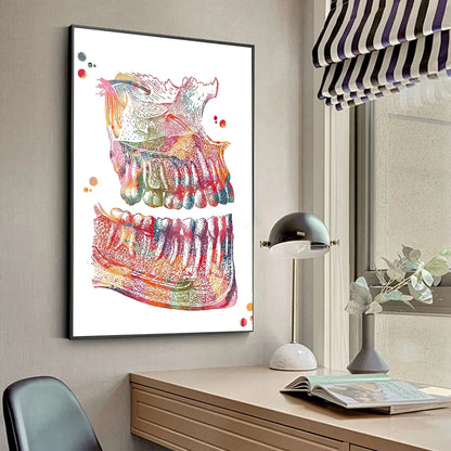 Anatomy Human Teeth Art Posters Teeth Row Teeth Illustra Poster HD Posters Home Room Bar Cafe Decor Art Wall Painting Picture
