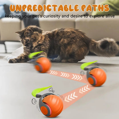 Interactive Speedy Tail Cat Ball Toy with Tail — USB Rechargeable, Dual-Speed Automatic Cat Toy
