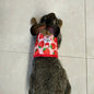 Small Animal Vest Harness & Leash Set for Rabbits, Kittens & Guinea Pigs – Adjustable Breathable Cotton, 3 Sizes (S/M/L)