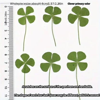 15Pcs Lucky Simulation Four-Leaf Clover Postcards Shamrock Stems Transparent Wishing Cards Ideal for Bookmarks & Decorations