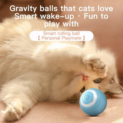 Automatic Interactive Rolling Cat Ball Toy – Self-Moving Electronic Kitten Toy