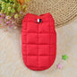 Winter Padded Windproof Dog Coat for Small Dogs - Chihuahua & Puppy Jacket