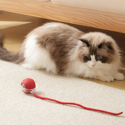 Rechargeable Interactive Cat Ball with Tail 1-3 Pack Automatic Rolling Pet Toy Imitates Mouse