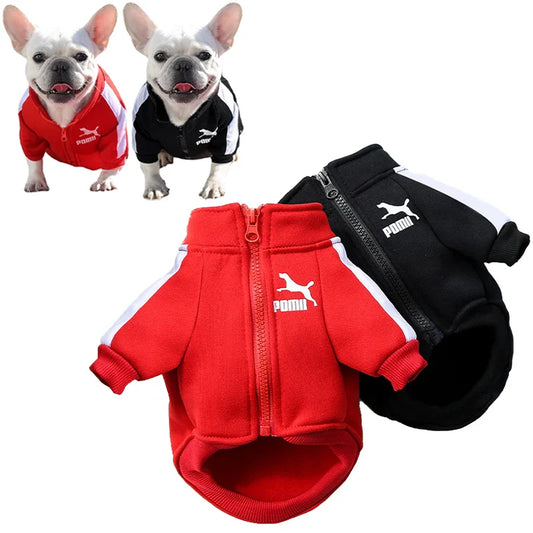 Baseball Pullover Dog Hoodie - Winter Jacket for Small & Medium Dogs, French Bulldog Chihuahua Pug Puppy Coat