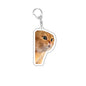 Funny Cat Memes Series Keychain Student Gift Bag Lanyard  Women's Bag Pendant Keychain Cute Things Cheap Gift For Best Friends
