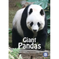 Pandas - Paperback