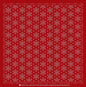 Sashiko Cloth Hitome-Zashi SnowflakesRD
