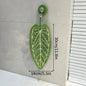 Hot Plant Hand Towel Cleaning Towel Absorbent Handkerchief Hanging Thickened Kitchen Towel Bathroom Kitchen Accessories