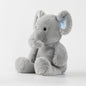 Long-Arm Weighted Plush Animal Pillow – Soft Fluffy Raccoon, Koala, Bear & Giraffe Cushion