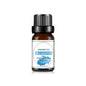 10ml (0.34 fl oz) Organic Essential Oil, 33 Scents Aromatherapy Fragrance Oil for Diffuser, Candle & Soap Making, Sleep