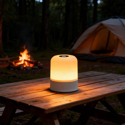 LED Dimmable Night Light Rechargeable and Plug-in Touch RGB Bedside Desk Lamp