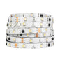 WS2814 RGBW Addressable LED Strip Light 5m (16.4ft) DC12V/DC24V SMD5050 IP30 IP65 IP67 4-in-1 RGB+W 3-Pin