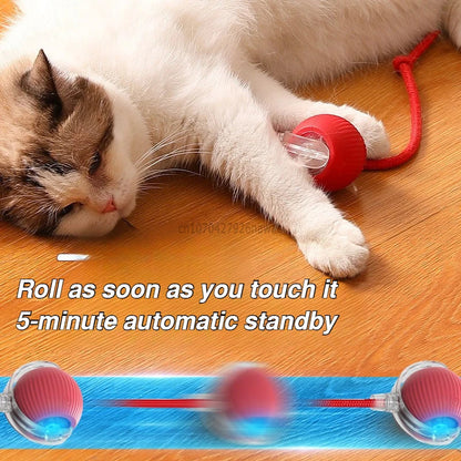 Automatic Rolling Ball Cat Toy – USB-C Rechargeable Interactive Silicone Magic Ball, Prey-Simulating Training Toy for Cats