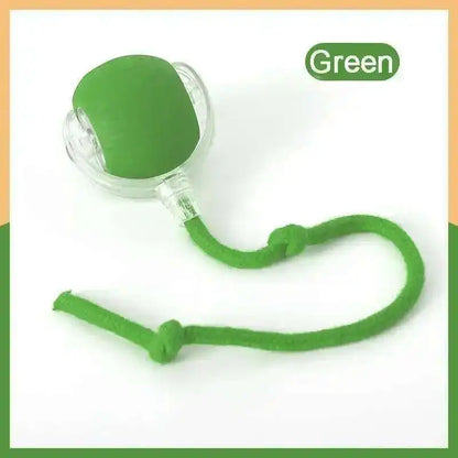 Interactive Rolling Cat Toy with Tail – USB Rechargeable Smart Ball, Dual-Speed Automatic Play